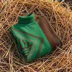 Cotton Sweater Orange with Graphic Details